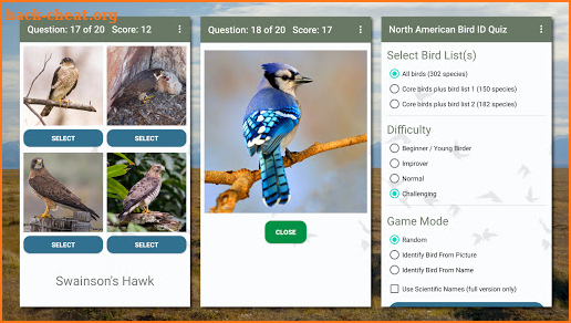 North American Bird ID Quiz screenshot