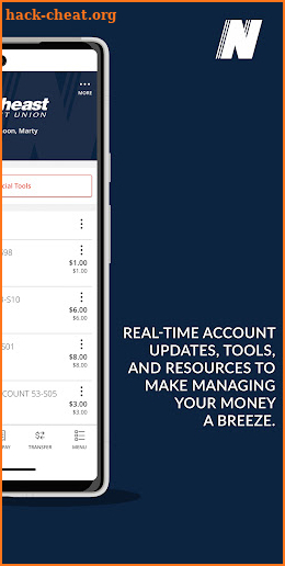 Northeast Credit Union screenshot