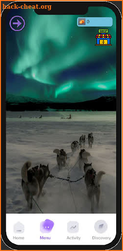 Northern Light Alaska screenshot