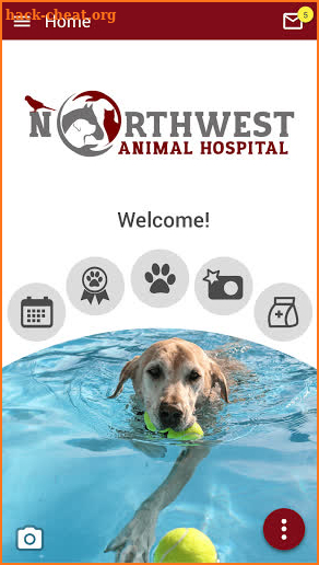 Northwest Animal Hospital screenshot