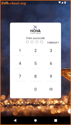 Nova CU eBranch screenshot
