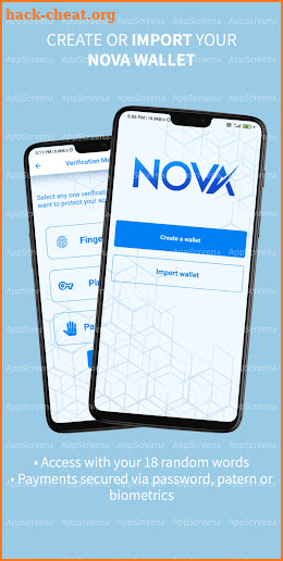 Nova Wallet screenshot