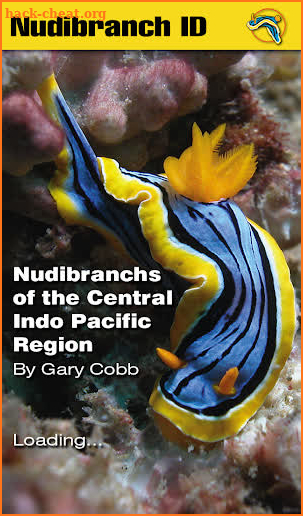 Nudibranch ID Indo Pacific screenshot