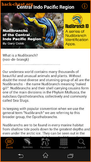 Nudibranch ID Indo Pacific screenshot