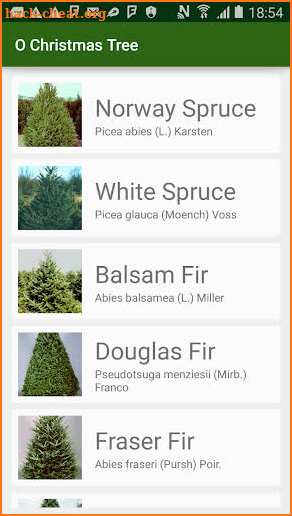 O Christmas Tree screenshot