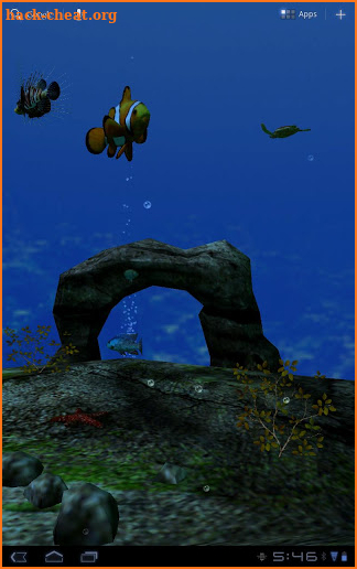 Ocean Aquarium 3D Wallpaper screenshot
