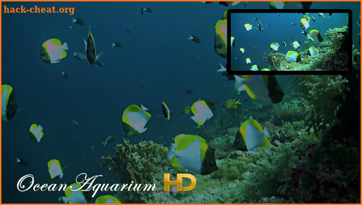 Ocean Aquarium HD screenshot