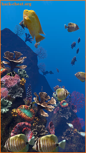OCEAN AQUARIUM Live Wallpaper FREE screenshot