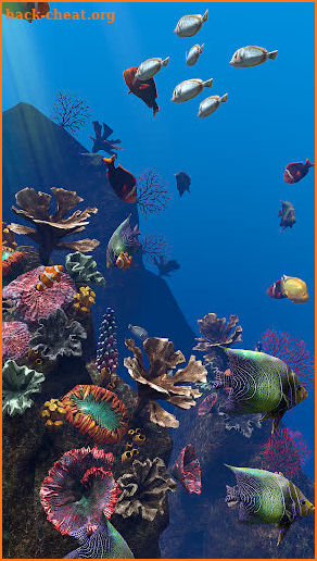OCEAN AQUARIUM Live Wallpaper FREE screenshot
