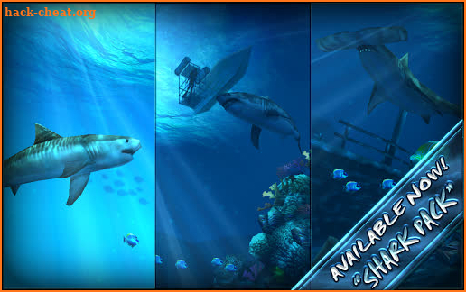 Ocean HD screenshot