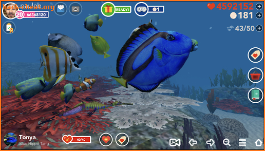 Ocean Reef Life screenshot