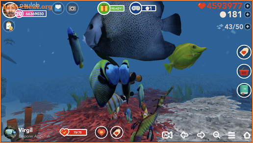 Ocean Reef Life screenshot