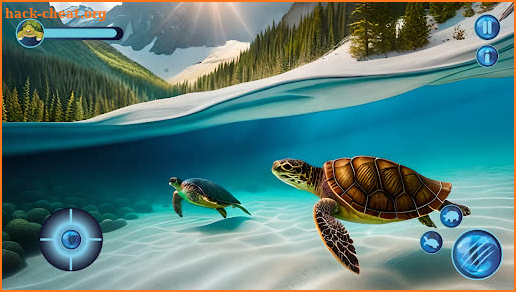 Ocean turtle tortoise Sea Game screenshot