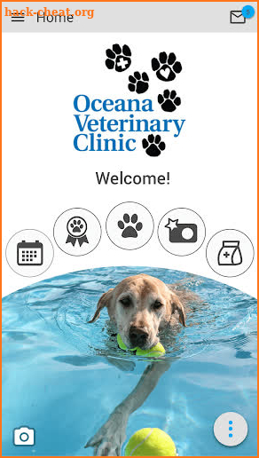 Oceana Veterinary Clinic screenshot