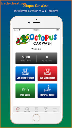 Octopus Car Wash screenshot