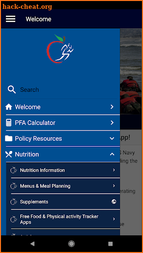 Official Navy PFA screenshot