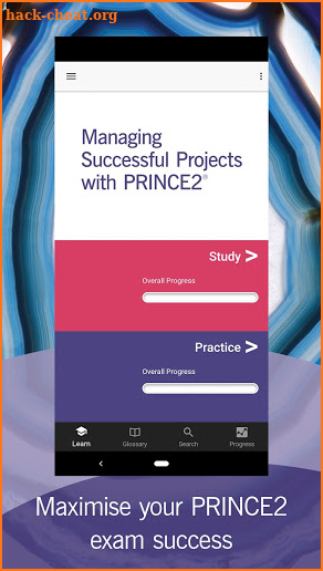 Official PRINCE2 Foundation screenshot