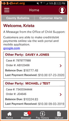 Ohio Child Support screenshot