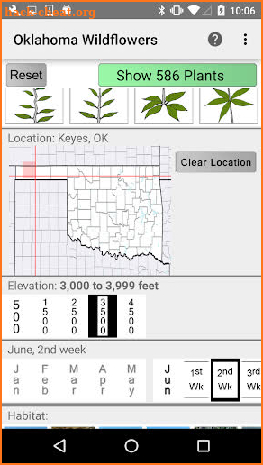 Oklahoma Wildflowers screenshot