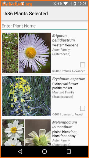 Oklahoma Wildflowers screenshot