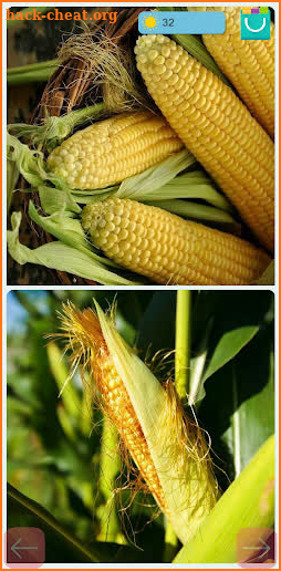 Olahana Corn Farm screenshot