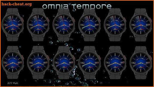 Omnia Tempore | SA5 Silver screenshot