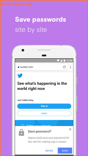 Opera browser beta screenshot