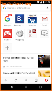 Opera browser - news & search screenshot