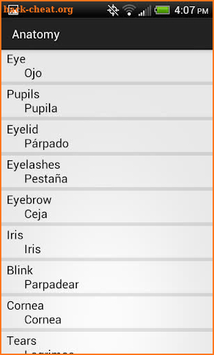Optometry Translator Spanish screenshot