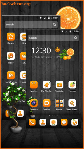 Orange Fruit Theme🍊 screenshot