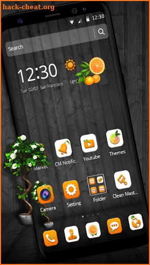 Orange Fruit Theme🍊 screenshot
