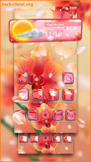 Orange Orchid Flying Petals Theme screenshot