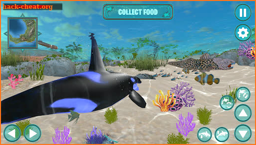 Orca Simulator: Killer Whale Simulator Game screenshot