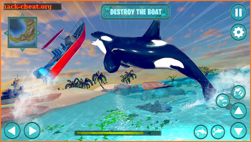 Orca Simulator: Killer Whale Simulator Game screenshot
