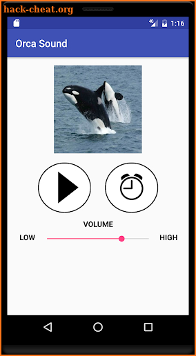 Orca Sound screenshot