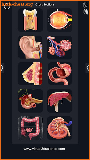 Organs screenshot