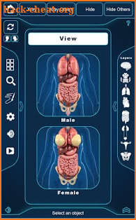 Organs Anatomy Pro. screenshot