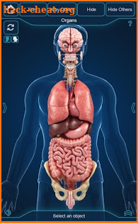 Organs Anatomy Pro. screenshot