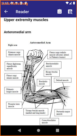Orthopedic Anatomy screenshot