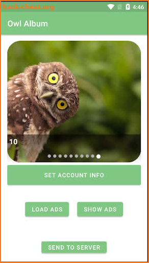 Owl Album screenshot