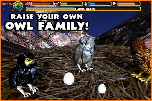 Owl Simulator screenshot