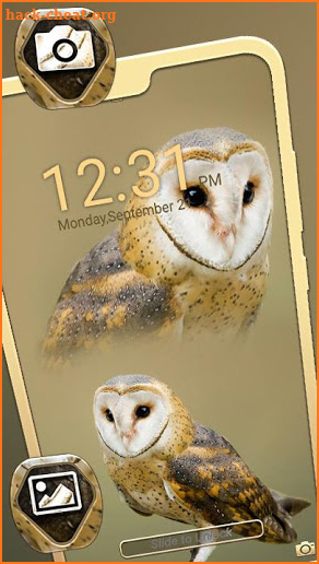 Owl Theme Launcher screenshot