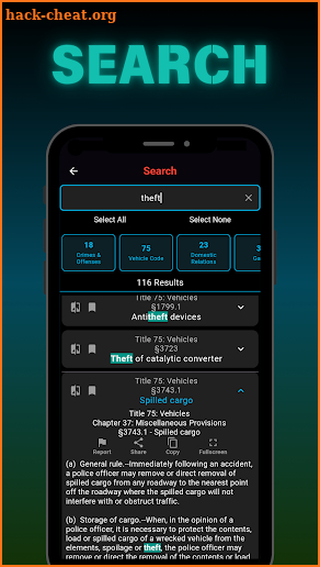 PA CJR 2025 screenshot