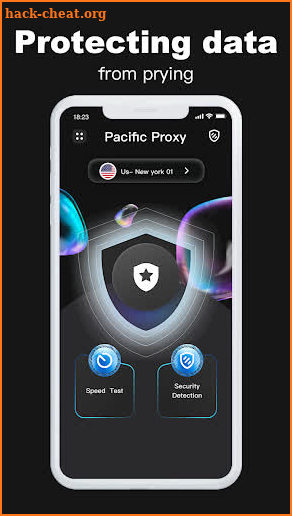Pacific Proxy-Security Agent screenshot
