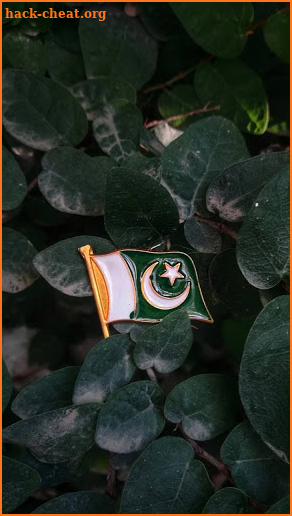 Pakistan Flag Wallpapers screenshot
