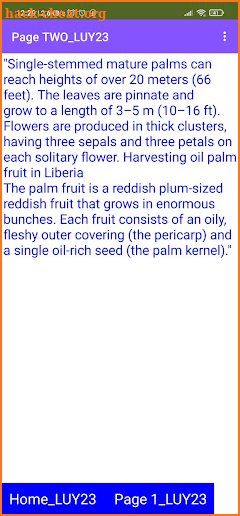palm nuts screenshot