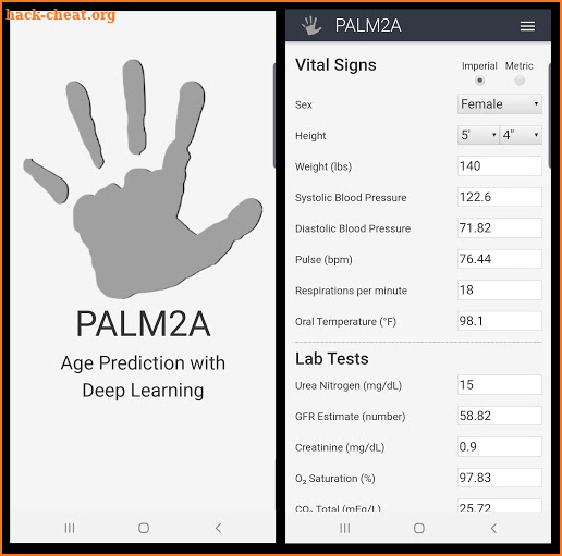 PALM2A - Age Prediction with Deep Learning screenshot