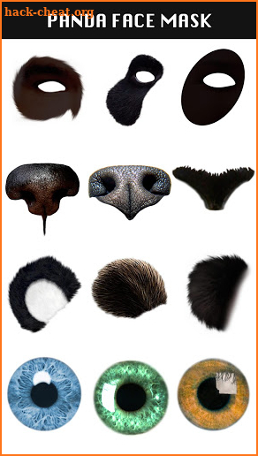 Panda Face Mask: Animal Photo Editor screenshot