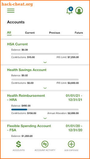 P&A Group HSA screenshot