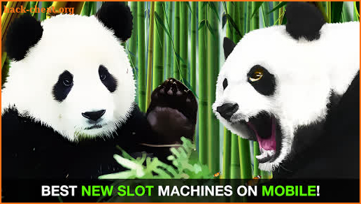 Panda Slots - Free Slot Casino screenshot